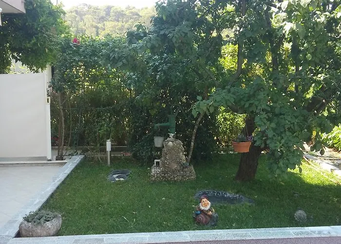 Soda شقة تروغير